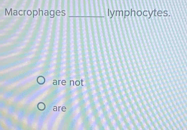 Macrophages _lymphocytes.
are not
are