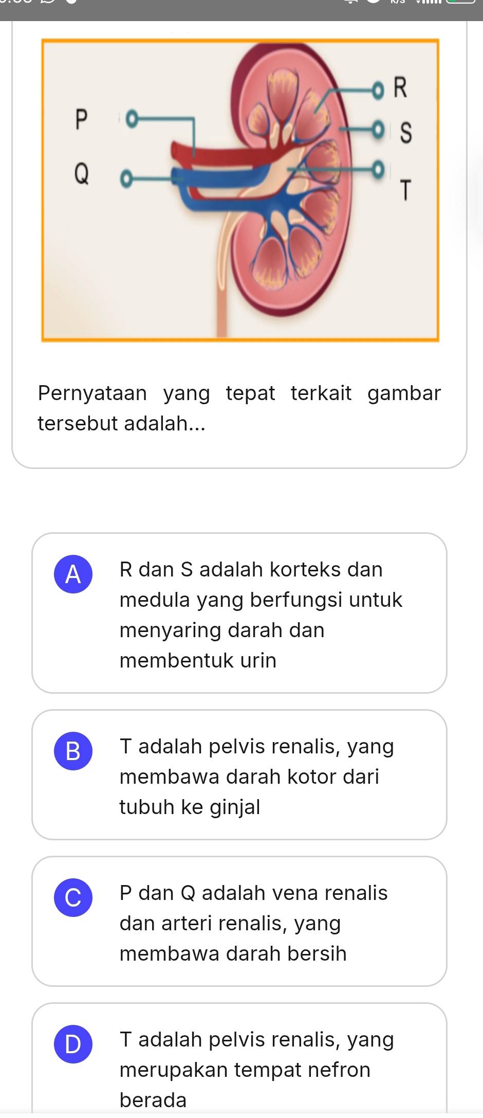 Pernyataan yang tepat terkait gambar
tersebut adalah...
A R dan S adalah korteks dan
medula yang berfungsi untuk
menyaring darah dan
membentuk urin
B T adalah pelvis renalis, yang
membawa darah kotor dari
tubuh ke ginjal
P dan Q adalah vena renalis
dan arteri renalis, yang
membawa darah bersih
D T adalah pelvis renalis, yang
merupakan tempat nefron
berada