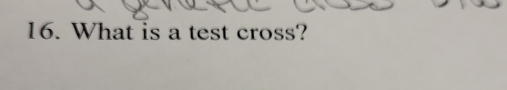 What is a test cross?