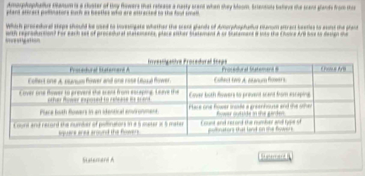 Amorphophallus tanum is a cluster of tny fowers that release a nasty scent when they bloom. Eciensists belleve the scent glands from thie 
plant attract polinators such as beeties who are attracted to the foud simen 
Which procedural steps should be used to investigate whether the scent glands of Amorphophallus titanum attract beeties to assist the plans 
with reproduction? For each set of procedural statements, place either Statement A or Statement B into the Choire A/B Boz to desigo the 
imre st hcation 
Statement A telement I