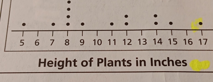 Height of Plants in Inches