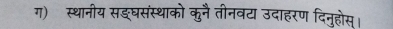 ग) स्थानीय सङघसंस्थाको कुनै तीनवट उदाहरण दिनुहोस्।