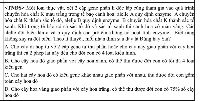 Một loài thực vật, xét 2 cặp gene phân li độc lập cùng tham gia vào quá trình
chuyển hóa chất K màu trắng trong tế bào cánh hoa: alelle A quy định enzyme A chuyển
chóa chất K thành sắc tố đỏ, alelle B quy định enzyme B chuyển hóa chất K thành sắc tố
xanh. Khi trong tế bào có cả sắc tố đỏ và sắc tố xanh thì cánh hoa có màu vàng. Các
alelle đột biến lặn a và b quy định các prôtêin không có hoạt tính enzyme . Biết rằng
không xảy ra đột biển. Theo lí thuyết, mỗi nhận định sau đây là Đúng hay Sai?
A. Cho cây dị họp tử về 2 cặp gene tự thụ phấn hoặc cho cây này giao phần với cây hoa
trắng thì cả 2 phép lai này đều cho đời con có 4 loại kiểu hình.
B. Cho cây hoa đỏ giao phẩn với cây hoa xanh, có thể thu được đời con có tối đa 4 loại
kiểu gen
C. Cho hai cây hoa đỏ có kiểu gene khác nhau giao phần với nhau, thu được đời con gồm
toàn cây hoa đỏ
D. Cho cây hoa vàng giao phần với cây hoa trắng, có thể thu dược đời con cỏ 75% sổ cây
hoa đỏ