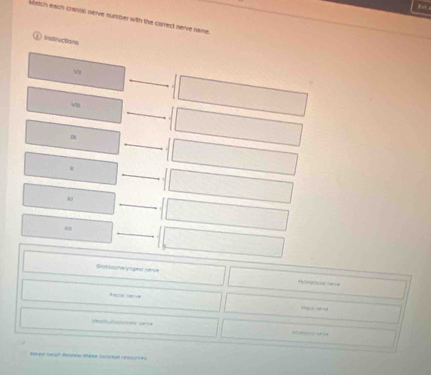 a 
Match each cranial neive number with the correct nerve name. 
Instructions 
_ 
VII 

_ 
Vu 
_ 
_ 
× 
_ 
) 
_ 
Giośsopharyngeal nerve Hygogisssal nene 
Facial nerve 
Vagus nérve 
Vestfs lotpoisen nete A cernary oéle 
teep neig? tedew these concent resmuces.