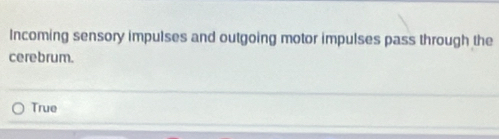 Incoming sensory impulses and outgoing motor impulses pass through the
cerebrum.
True