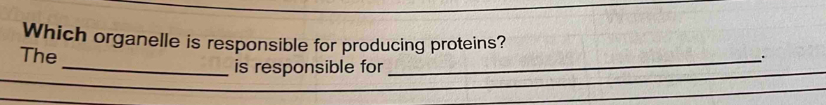 Which organelle is responsible for producing proteins? 
The 
_is responsible for 
_