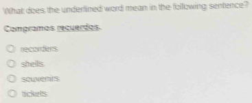 What does the underlined word mean in the following sentence?
Compramos reçuerdos.
recorders
shells
souvenrs
tickets