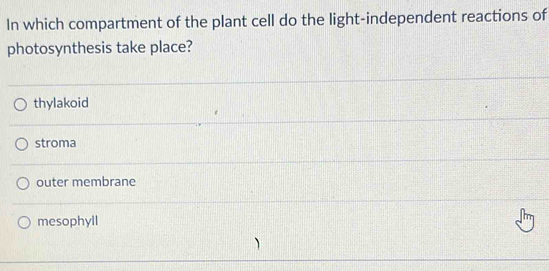 In which compartment of the plant cell do the light-independent reactions of
photosynthesis take place?
thylakoid
stroma
outer membrane
mesophyll