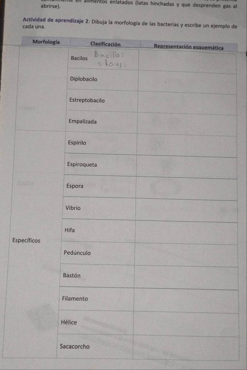 en alimentos enlatados (latas hinchadas y que desprenden gas al 
abrirse). 
Actividad de aprendizaje 2: Dibuja la morfología de las bacterias y escribe un ejemplo de 
cada una. 
Es