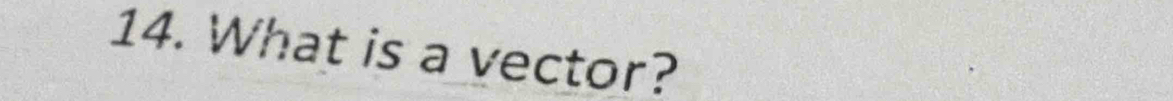 What is a vector?