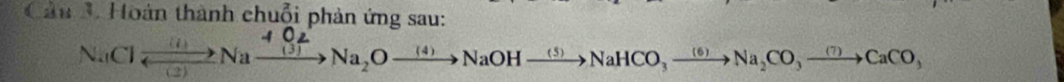 Câu *. Hoàn thành chuỗi phản ứng sau:
NaClxrightarrow ()Naxrightarrow 4(3)Na_2Oxrightarrow (4)NaOHxrightarrow (5)NaHCO_3xrightarrow (6)Na_2CO,xrightarrow (7)CaCO,
