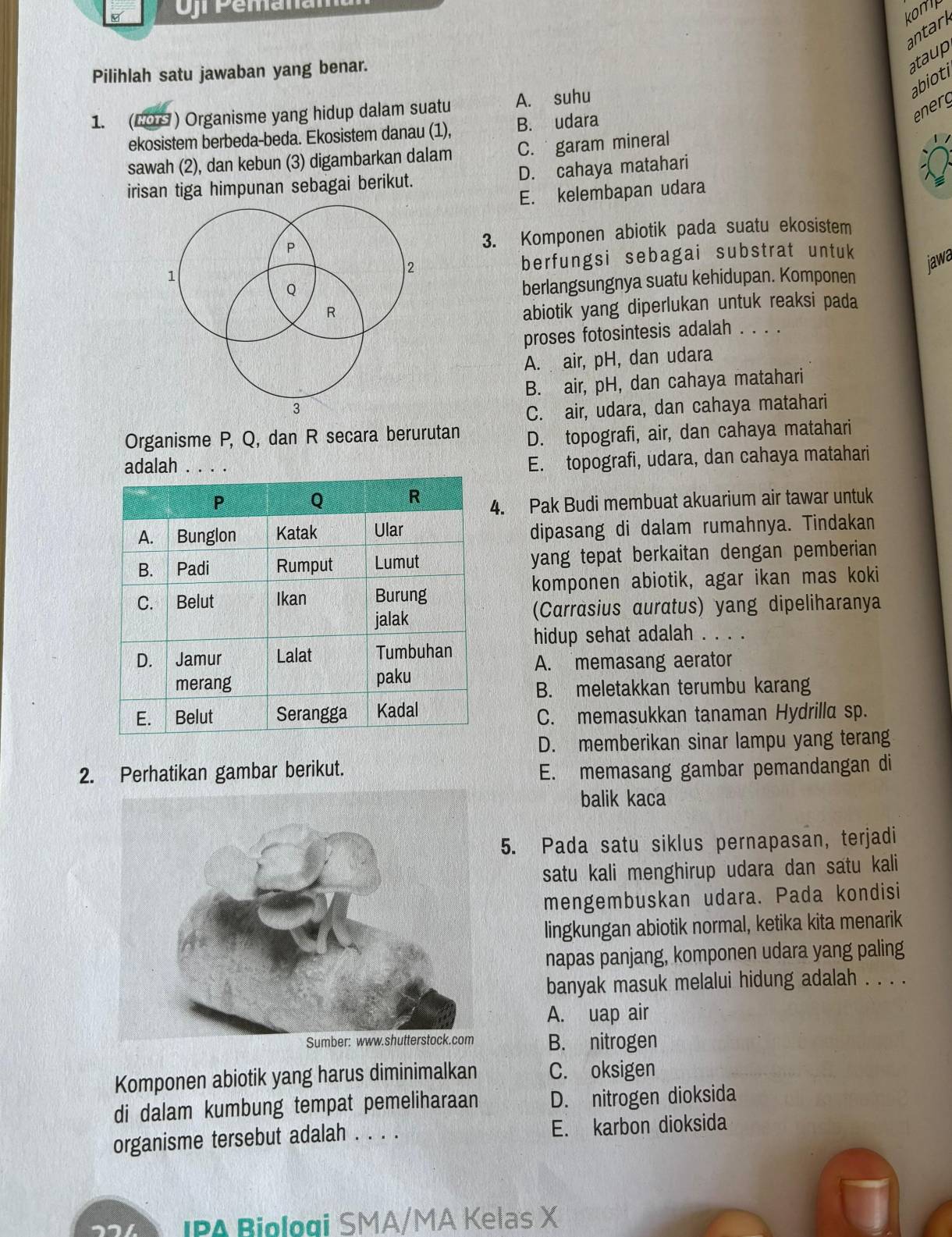 Urpemen
kon'lp
Pilihlah satu jawaban yang benar.
ataup antark
abioti
energ
1. (6O0 ) Organisme yang hidup dalam suatu A. suhu
ekosistem berbeda-beda. Ekosistem danau (1), B. udara
sawah (2), dan kebun (3) digambarkan dalam C.  garam mineral
irisan tiga himpunan sebagai berikut. D. cahaya matahari
E. kelembapan udara
3. Komponen abiotik pada suatu ekosistem
berfungsi sebagai substrat untuk
jawa
berlangsungnya suatu kehidupan. Komponen
abiotik yang diperlukan untuk reaksi pada
proses fotosintesis adalah . . . .
A. air, pH, dan udara
B. air, pH, dan cahaya matahari
C. air, udara, dan cahaya matahari
Organisme P, Q, dan R secara berurutan D. topografi, air, dan cahaya matahari
adalah . . .
E. topografi, udara, dan cahaya matahari
4. Pak Budi membuat akuarium air tawar untuk
dipasang di dalam rumahnya. Tindakan
yang tepat berkaitan dengan pemberian
komponen abiotik, agar ikan mas koki
(Carrasius auratus) yang dipeliharanya
hidup sehat adalah . . . .
A. memasang aerator
B. meletakkan terumbu karang
C. memasukkan tanaman Hydrilla sp.
D. memberikan sinar lampu yang terang
2. Perhatikan gambar berikut. E. memasang gambar pemandangan di
balik kaca
5. Pada satu siklus pernapasan, terjadi
satu kali menghirup udara dan satu kali
mengembuskan udara. Pada kondisi
lingkungan abiotik normal, ketika kita menarik
napas panjang, komponen udara yang paling
banyak masuk melalui hidung adalah . . . .
A. uap air
B. nitrogen
Komponen abiotik yang harus diminimalkan C. oksigen
di dalam kumbung tempat pemeliharaan D. nitrogen dioksida
organisme tersebut adalah . . . . E. karbon dioksida
IPA Biologi SMA/MA Kelas X