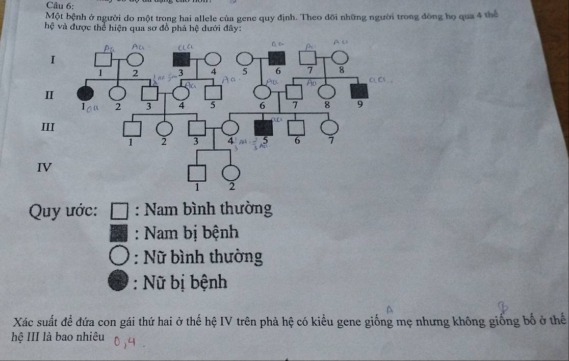 Một bệnh ở người do một trong hai allele của gene quy định. Theo đõi những người trong đòng họ qua 4 thể
hệ và được thể hiện qua sơ đồ phả hệ dưới đây:
Quy ước: : Nam bình thường
: Nam bị bệnh
: Nữ bình thường
. Nữ bị bệnh
Xác suất để đứa con gái thứ hai ở thế hệ IV trên phả hệ có kiều gene giống mẹ nhưng không giống bố ở thế
hệ III là bao nhiêu