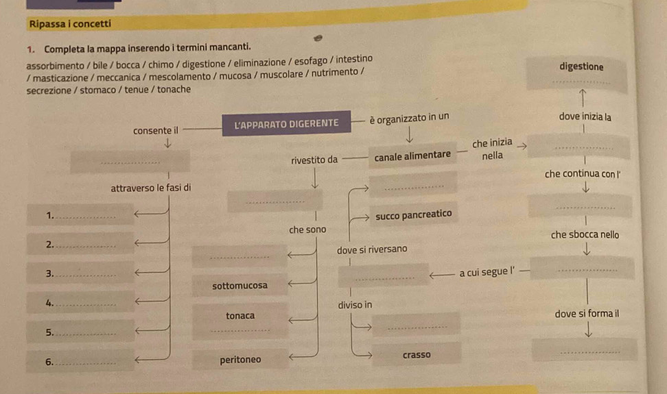 Ripassa i concetti
1. Completa la mappa inserendo i termini mancanti.
assorbimento / bile / bocca / chimo / digestione / eliminazione / esofago / intestino digestione
/ masticazione / meccanica / mescolamento / mucosa / muscolare / nutrimento /
secrezione / stomaco / tenue / tonache
consente il L'APPARATO DIGERENTE è organizzato in un
dove inizia la
che inizia
_
rivestito da canale alimentare nella
che continua con !
attraverso le fasi di
_
1._
succo pancreatico
_
che sono che sbocca nello
2._
_
dove si riversano
3._ a cui segue l’_
sottomucosa
4._
diviso in
tonaca dove si forma il
5._
_
6. _peritoneo crasso
_