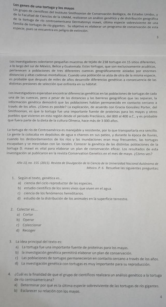 Los genes de una tortuga y los mayas
Un grupo de científicos del Instituto Smithsonian de Conservación Biológica, de Estados Unidos, y
de la Facultad de Ciencias de la UNAM, realizaron un análisis genético y de distribución geográfica
de la tortuga de río centroamericana Dermatemys mawii, última especie sobreviviente de una
familia de tortugas de río gigantes. Su objetivo es elaborar un programa de conservación de esta
especie, pues se encuentra en peligro de extinción.
3
Los investigadores colectaron pequeñas muestras de tejido de 238 tortugas en 15 sitios diferentes,
a lo largo del sur de México, Belice y Guatemala. Estas tortugas, que son exclusivamente acuáticas,
pertenecen a poblaciones de tres diferentes cuencas geográficamente aisladas por enormes
distancias y altas cadenas montañosas. Cuando una población se aísla de otra de la misma especie,
es probable que después de miles de años desarrolle diferencias genéticas a consecuencia de las
distintas presiones de selección que enfrenta en su hábitat.
Los investigadores esperaban encontrar diferencias genéticas en las poblaciones de tortugas de cada
una de las cuencas, pero a pesar de las distancias y las barreras geográficas que las separan, la
información genética demostró que las poblaciones habían permanecido en contacto cercano a
través de los años. ¿Cómo es posible? La explicación, de acuerdo con Gracia González Porter, del
Smithsonian, es que la tortuga fue una importante fuente de proteínas para los mayas y otros
pueblos que vivieron en esta región desde el periodo Preclásico, del 800 al 400 a.C., y es probable
que fuera parte de la dieta de la cultura Olmeca, hace más de 3 000 años.
La tortuga de río de Centroamérica es manejable y resistente, por lo que transportarla era sencillo.
La gente la colocaba en depósitos de agua o charcos en sus patios, y durante la época de lluvias,
cuando los desbordamientos de los ríos y las inundaciones eran muy frecuentes, las tortugas
escapaban y se mezclaban con las locales. Conocer la genética de las distintas poblaciones de la
tortuga D. mawii es vital para elaborar un plan de conservación eficaz. Los resultados de esta
investigación se publicaron en la revista Conservation Genetics en el mes de mayo. ¿Cómo ves?
Año 13, no. 155. (2011). Revista de Divulgación de la Ciencia de la Universidad Nacional Autónoma de
México. P. 6. Resuelve las siguientes preguntas:
1. Según el texto, genética es...
a) ciencia del ciclo reproductor de las especies.
b) estudio científico de los seres vivos que viven en el agua.
c) ciencia de los fenómenos hereditarios.
d) estudio de la distribución de los animales en la superficie terrestre.
2. Colectar es....
a) Cortar
b) Operar
c) Coleccionar
d) Recoger
3. La idea principal del texto es:
a) La tortuga fue una importante fuente de proteínas para los mayas.
b) la investigación genética permitirá elaborar un plan de conservación.
c) Las poblaciones de tortugas permanecieron en contacto cercano a través de los años.
d) La investigación genética con tortugas es muy importante para su reproducción.
4. ¿Cuál es la finalidad de que el grupo de científicos realizara un análisis genético a la tortuga
de río centroamericana?
a) Determinar por qué es la última especie sobreviviente de las tortugas de río gigantes.
b) Esclarecer su relación con los mayas.
4