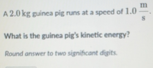 Solved: A 2.0 kg guinea pig runs at a speed of 1.0 m/s . What is the ...