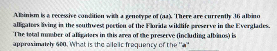 Albinism is a recessive condition with a genotype of (aa). There are currently 36 albino 
alligators living in the southwest portion of the Florida wildlife preserve in the Everglades. 
The total number of alligators in this area of the preserve (including albinos) is 
approximately 600. What is the allelic frequency of the "a"