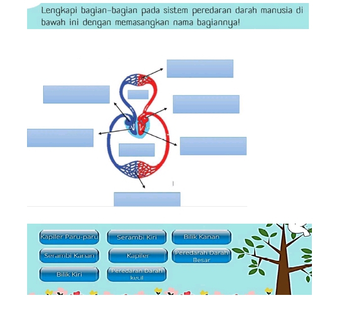 Lengkapi bagian-bagian pada sistem peredaran darah manusia di 
bawah ini dengan memasangkan nama bagiannya! 
Kapiler Paru-paru Serambi Kiri Bilik Kanan 
Serambi Kanan Kapiler Peredarah Darah 
Besar 
Bilik Kiri Peredaran Darah 
kecil