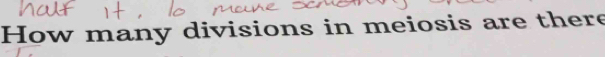 How many divisions in meiosis are there