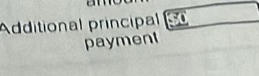 Additional principal 
payment