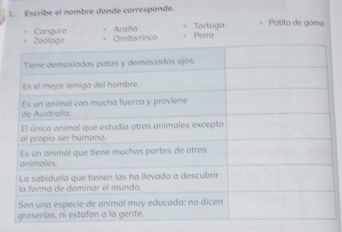 Escribe el nombre donde corresponde.
Canguro Araña Tortuga Patito de goma
nco Perro