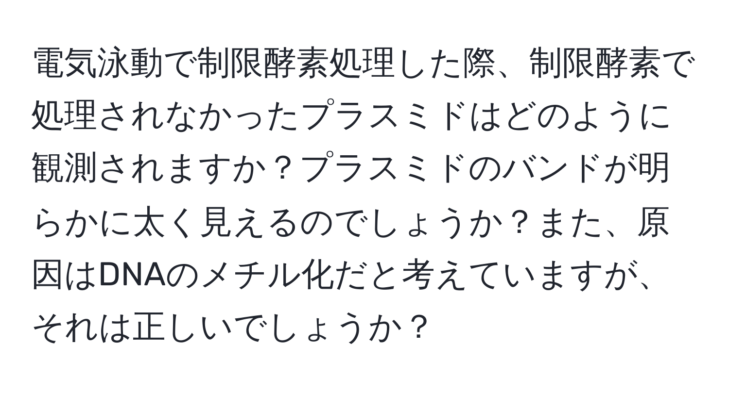 電気泳動で制限酵素処理した際、制限酵素で処理されなかったプラスミドはどのように観測されますか？プラスミドのバンドが明らかに太く見えるのでしょうか？また、原因はDNAのメチル化だと考えていますが、それは正しいでしょうか？