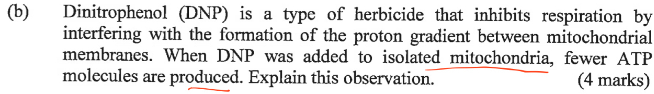 Dinitrophenol (DNP) is a type of herbicide that inhibits respiration by 
interfering with the formation of the proton gradient between mitochondrial 
membranes. When DNP was added to isolated mitochondria, fewer ATP 
molecules are produced. Explain this observation. (4 marks)