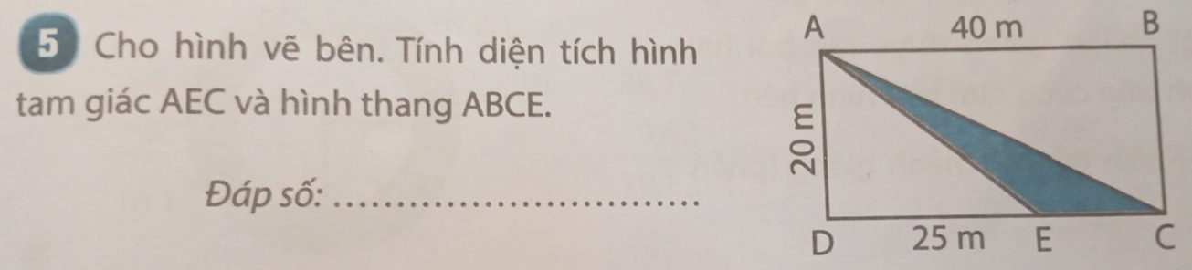 Cho hình vẽ bên. Tính diện tích hình 
tam giác AEC và hình thang ABCE. 
Đáp số:_