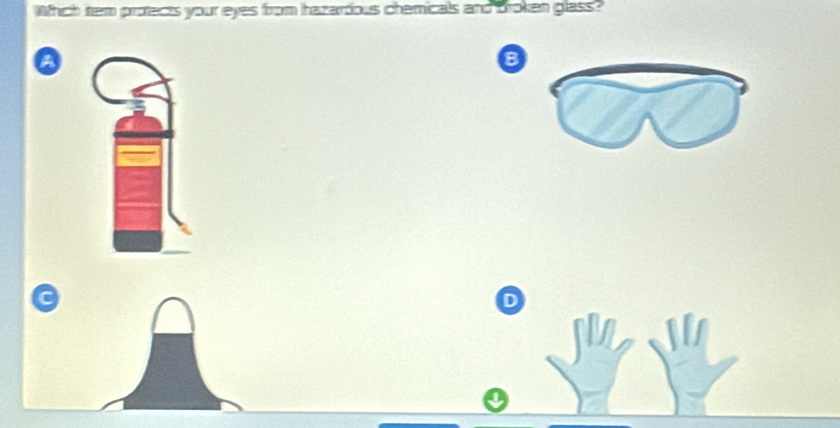 Which tem protects your eyes from hazardous chemicals and broken glass? 
a 
B