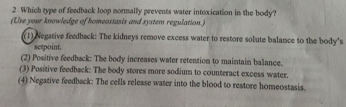Solved: Which type of feedback loop normally prevents water ...