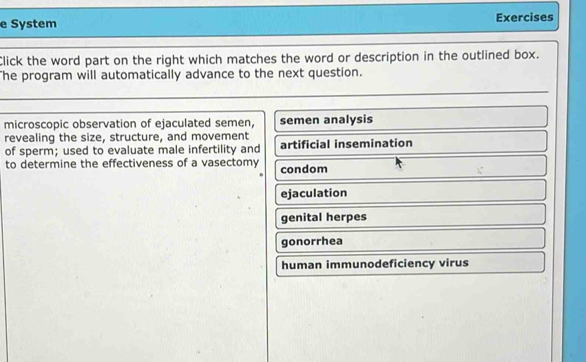 System Exercises
Click the word part on the right which matches the word or description in the outlined box.
he program will automatically advance to the next question.
microscopic observation of ejaculated semen, semen analysis
revealing the size, structure, and movement
of sperm; used to evaluate male infertility and artificial insemination
to determine the effectiveness of a vasectomy condom
ejaculation
genital herpes
gonorrhea
human immunodeficiency virus