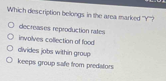 Which description belongs in the area marked '' Y ''?
decreases reproduction rates
involves collection of food
divides jobs within group
keeps group safe from predators