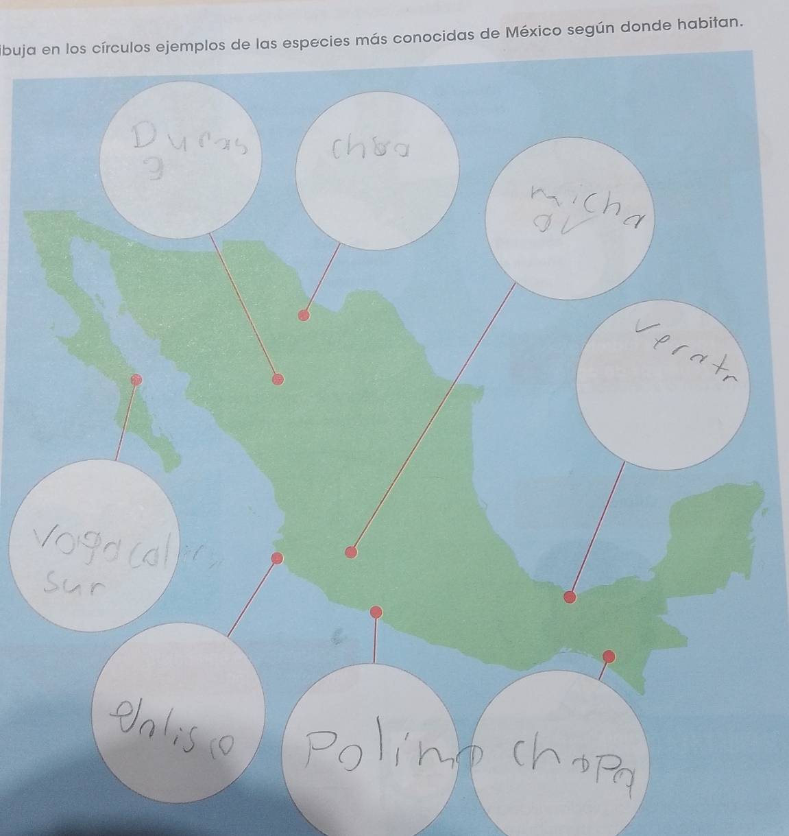 tibuja en los círculos ejemplos de las especies más conocidas de México según donde habitan.