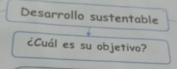 Desarrollo sustentable 
¿Cuál es su objetivo?