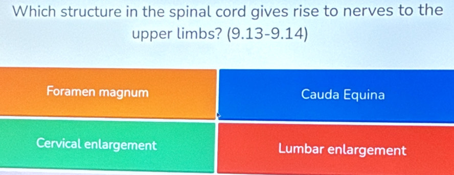 Which structure in the spinal cord gives rise to nerves to the
upper limbs? (9.13-9.14)
Foramen magnum Cauda Equina
Cervical enlargement Lumbar enlargement