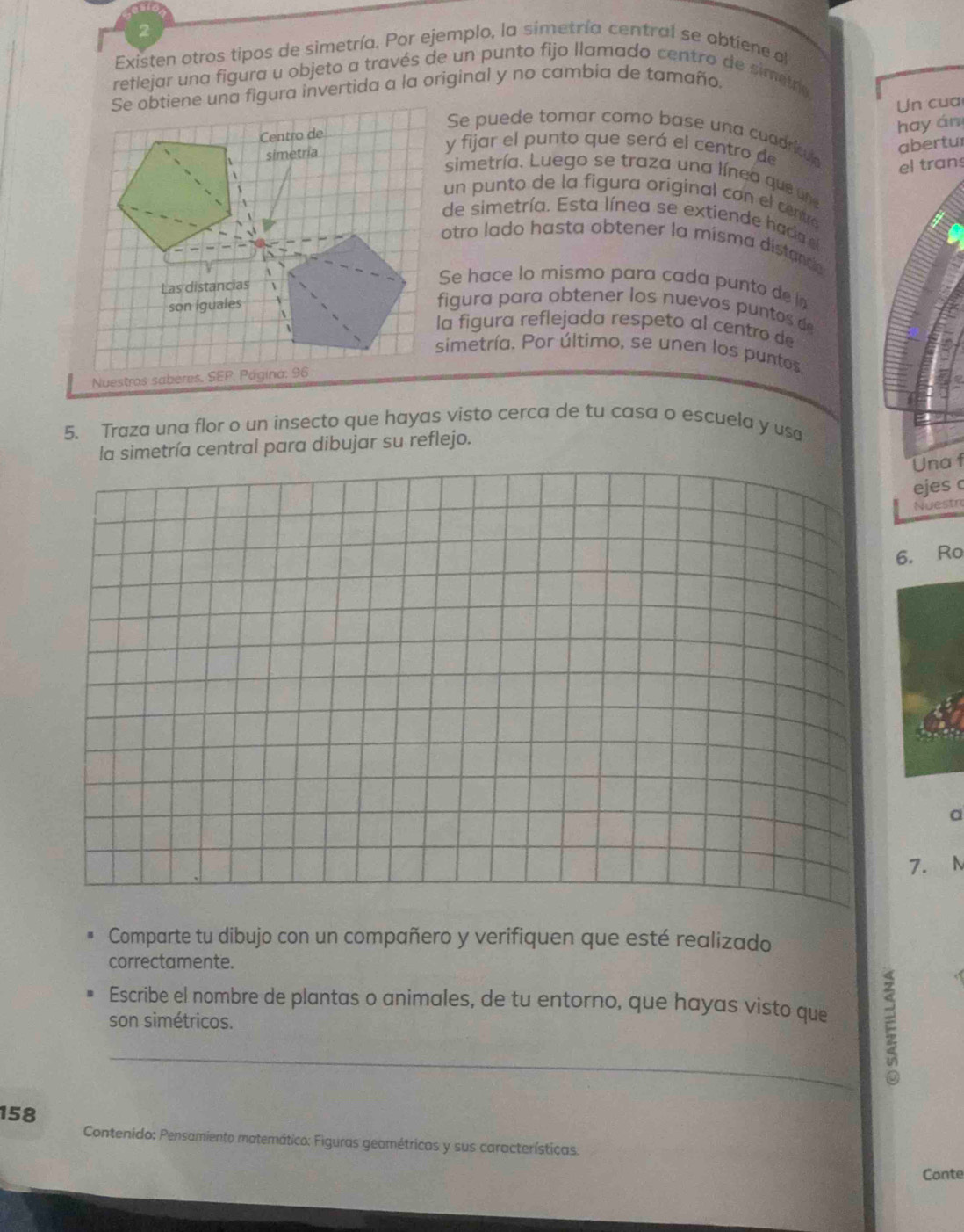 Existen otros tipos de simetría. Por ejemplo, la simetría central se obtiene al 
reflejar una figura u objeto a través de un punto fijo llamado centro de simetro 
Se obtiene una figura invertida a la original y no cambia de tamaño. 
Un cua 
Se puede tomar como base una cuadrícul 
Centro de 
hay án 
simetría 
y fijar el punto que será el centro de 
abertur 
el trans 
simetría. Luego se traza una línea que une 
un punto de la figura original con el cento 
de simetría. Esta línea se extiende hada 
otro lado hasta obtener la misma distand 
Las distancias 
Se hace lo mismo para cada punto dela 
son iguales figura para obtener los nuevos puntos de 
la figura reflejada respeto al centro de 
simetría. Por último, se unen los puntos. 
Nuestros saberes, SEP, Página: 96 
5. Traza una flor o un insecto que hayas visto cerca de tu casa o escuela y usa 
la simetría central para dibujar su reflejo. 
Una f 
ejes c 
Nuestr 
6. Ro 
a 
7. N 
Comparte tu dibujo con un compañero y verifiquen que esté realizado 
correctamente. 
_Escribe el nombre de plantas o animales, de tu entorno, que hayas visto que E 
son simétricos.
158
Contenido: Pensamiento matemático: Figuras geométricas y sus características. 
Conte