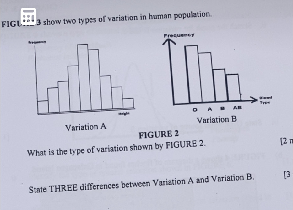 FIGL 3 show two types of variation in human population. 

FIGURE 2 
What is the type of variation shown by FIGURE 2. 
[2 η 
State THREE differences between Variation A and Variation B. [3