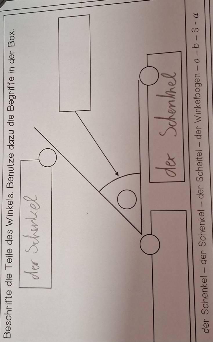 Beschrifte die Teile des Winkels. Benutze dazu die Begriffe in der Box. 
der Schenkel - der Schenkel - der Scheitel - der Winkelbogen -a-b-S-alpha