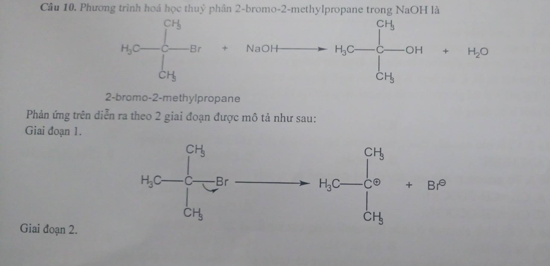 Phương trình thuỷ phân 2-bromo-2-methylpropane trong NaOH là
 1/a^3 + c^6 b^(10)^circ endarray  +
□ 
2-bromo-2-methylpropane
Phản ứng trên diễn ra theo 2 giai đoạn được mô tả như sau:
Giai đoạn 1.
Giai đoạn 2.