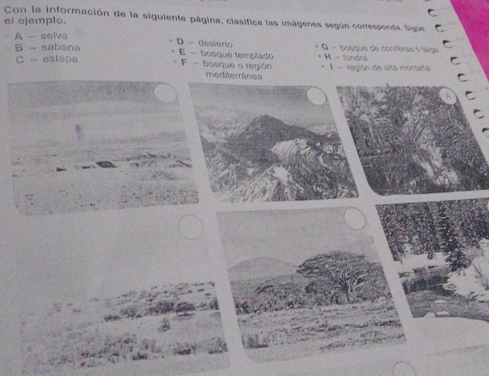 Con la información de la siguiente página, clasifica las imágenes según corresponda. Sigue
el ejemplo.
A - selva
D - desierto G - bosque de coníferas o táiga
B - sabana E - bosque templado H - tundra
C - estepa
F - bosque o región - región de alta montaña
mediterránea