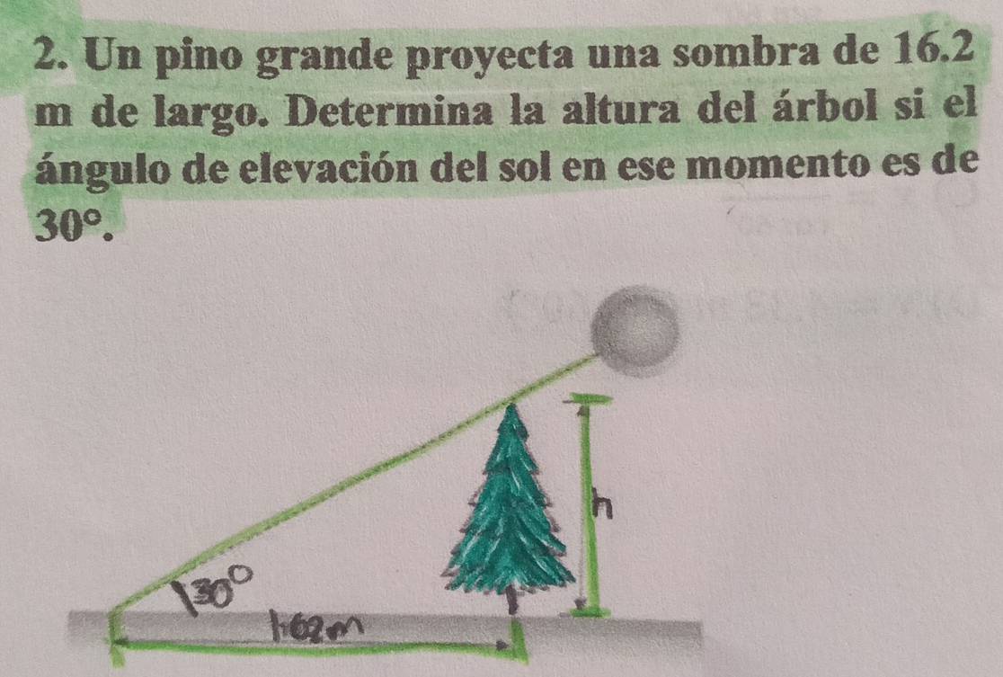 Un pino grande proyecta una sombra de 16.2
m de largo. Determina la altura del árbol si el 
ángulo de elevación del sol en ese momento es de
30°.