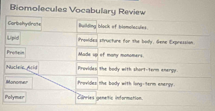 Biomolecules Vocabu