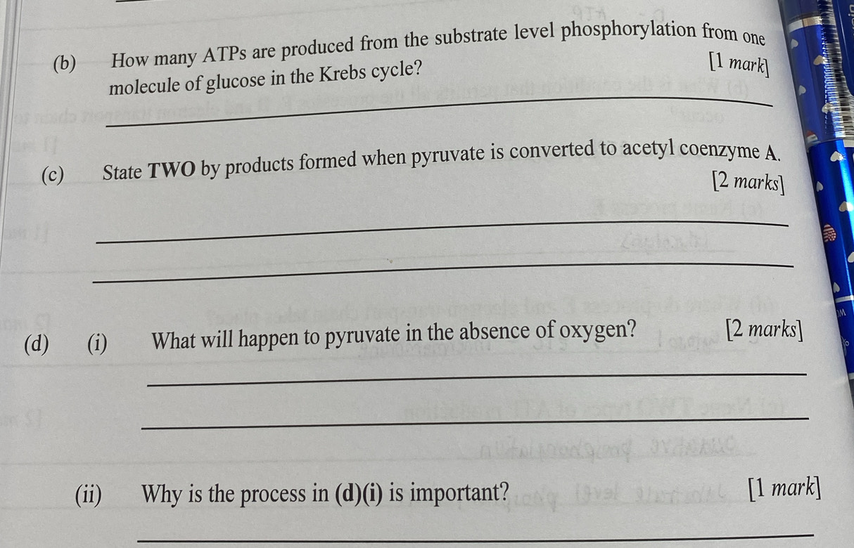 How many ATPs are produced from the substrate level phosphorylation from one 
_ 
molecule of glucose in the Krebs cycle? 
[1 mark] 
(c) State TWO by products formed when pyruvate is converted to acetyl coenzyme A. 
[2 marks] 
_ 
a 
_ 
(d) (i) What will happen to pyruvate in the absence of oxygen? 
[2 marks] 
_ 
_ 
(ii) Why is the process in (d)(i) is important? [1 mark] 
_