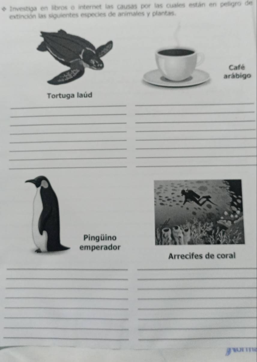 Investiga en libros o internet las causas por las cuales están en peligro de 
extinción las siguientes especies de animales y plantas. 
Café 
arábigo 
Tortuga laúd 
_ 
_ 
_ 
_ 
_ 
_ 
_ 
_ 
_ 
_ 
_ 
_ 
_ 
_ 
_ 
_ 
Arrecifes de coral 
__ 
__ 
__ 
__ 
__ 
_ 
_ 
__ 
__ 
zom