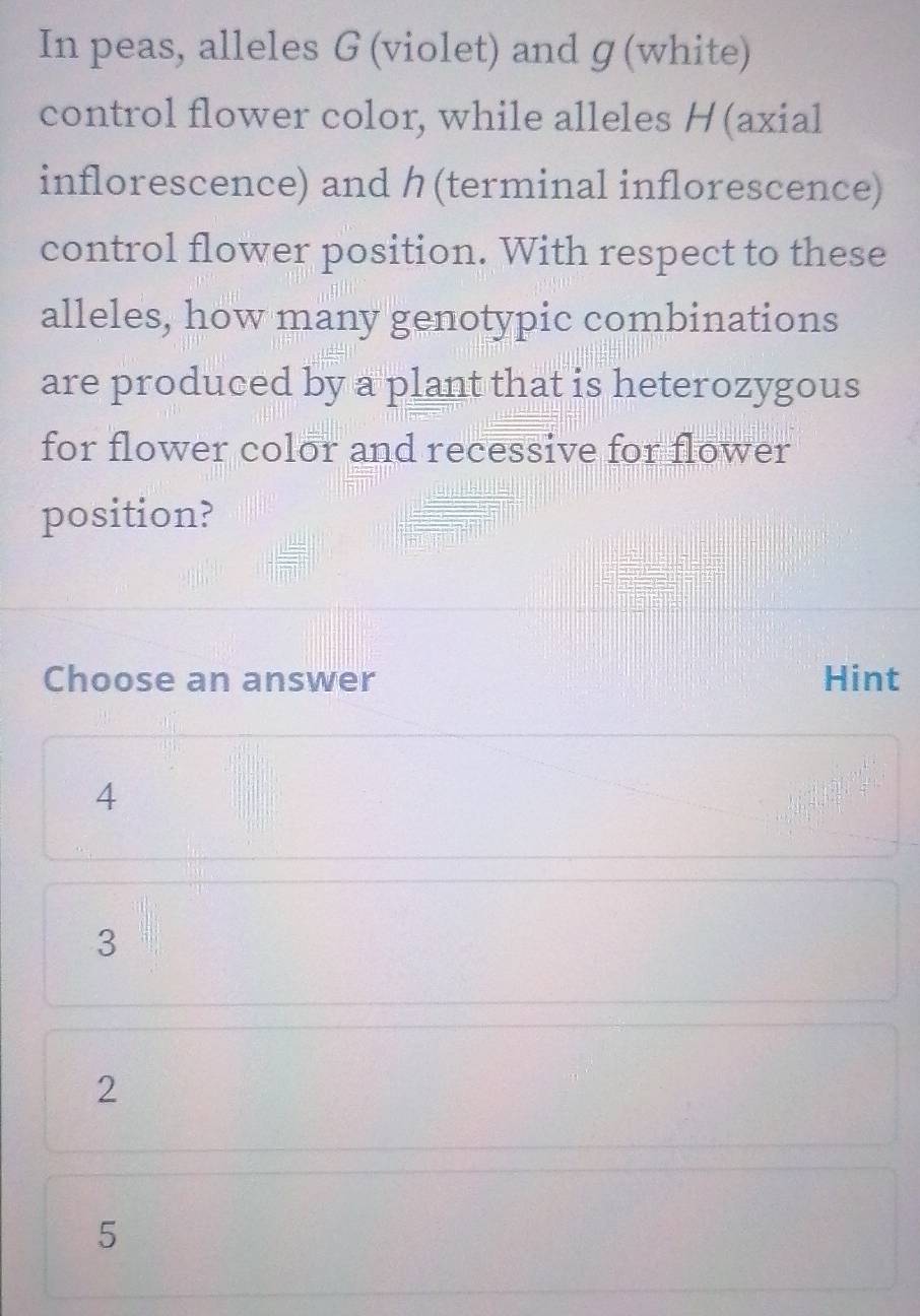 In peas, alleles G (violet) and ɡ (white)
control flower color, while alleles H(axial
inflorescence) and ク (terminal inflorescence)
control flower position. With respect to these
alleles, how many genotypic combinations
are produced by a plant that is heterozygous
for flower color and recessive for flower
position?
Choose an answer Hint
4
3
2
5