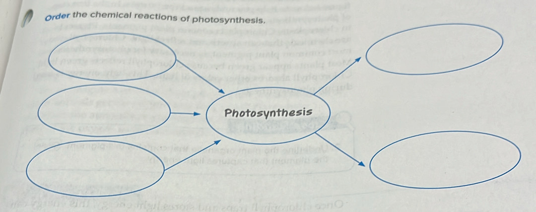 Order the chemical reactions of photosynthesis. 
Photosynthesis