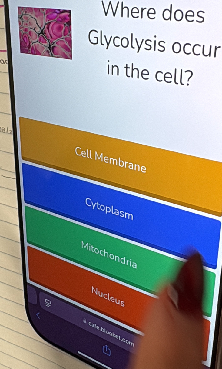 Where does
Glycolysis occur
ad
in the cell?
al
Cell Membrane
Cytoplasm
Mitochondria
Nucleus
cafe.blooket.com