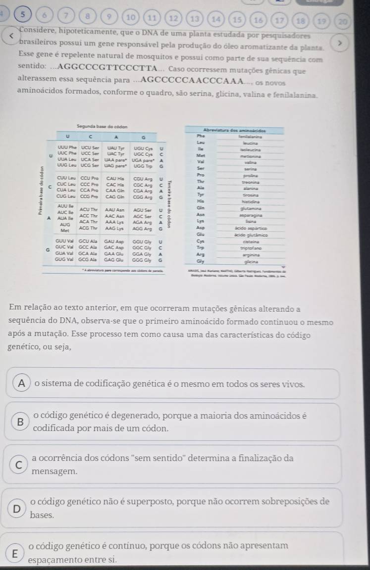 5 6 7 8 9 10 11 12 13 14 15 16 17 18 19 20
Consídere, hipoteticamente, que o DNA de uma planta estudada por pesquisadores
<
brasileiros possui um gene responsável pela produção do óleo aromatizante da planta. >
Esse gene é repelente natural de mosquitos e possui como parte de sua sequência com
sentido: ...AGGCCCGTTCCCTTA... Caso ocorressem mutações gênicas que
alterassem essa sequência para ...AGCCCCCAACCCAAA..., os novos
aminoácidos formados, conforme o quadro, são serina, glicina, valina e fenilalanina.







Em relação ao texto anterior, em que ocorreram mutações gênicas alterando a
sequência do DNA, observa-se que o primeiro aminoácido formado continuou o mesmo
após a mutação. Esse processo tem como causa uma das características do código
genético, ou seja,
A ) o sistema de codificação genética é o mesmo em todos os seres vivos.
o código genético é degenerado, porque a maioria dos aminoácidos é
B codificada por mais de um códon.
a ocorrência dos códons "sem sentido" determina a finalização da
C
mensagem.
o código genético não é superposto, porque não ocorrem sobreposições de
D bases.
o código genético é continuo, porque os códons não apresentam
E
espaçamento entre si.