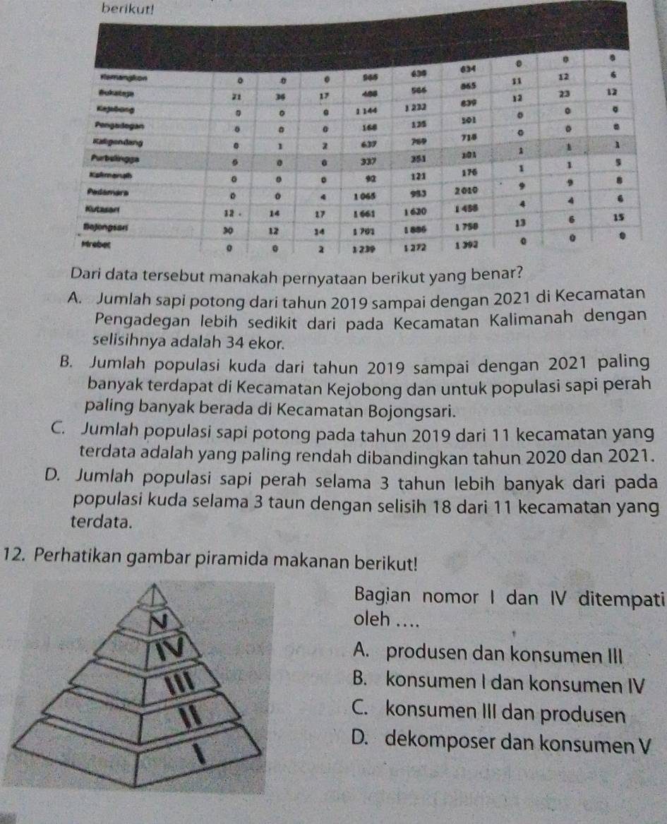 berikut!
A. Jumlah sapi potong dari tahun 2019 sampai dengan 2021 di Kecamatan
Pengadegan lebih sedikit dari pada Kecamatan Kalimanah dengan
selisihnya adalah 34 ekor.
B. Jumlah populasi kuda dari tahun 2019 sampai dengan 2021 paling
banyak terdapat di Kecamatan Kejobong dan untuk populasi sapi perah
paling banyak berada di Kecamatan Bojongsari.
C. Jumlah populasi sapi potong pada tahun 2019 dari 11 kecamatan yang
terdata adalah yang paling rendah dibandingkan tahun 2020 dan 2021.
D. Jumlah populasi sapi perah selama 3 tahun lebih banyak dari pada
populasi kuda selama 3 taun dengan selisih 18 dari 11 kecamatan yang
terdata.
12. Perhatikan gambar piramida makanan berikut!
Bagian nomor I dan IV ditempati
oleh ....
A. produsen dan konsumen III
B. konsumen I dan konsumen IV
C. konsumen III dan produsen
D. dekomposer dan konsumen V