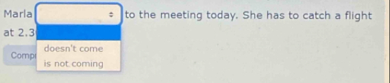 Marla to the meeting today. She has to catch a flight 
at 2.3
doesn't come 
Comp 
is not coming